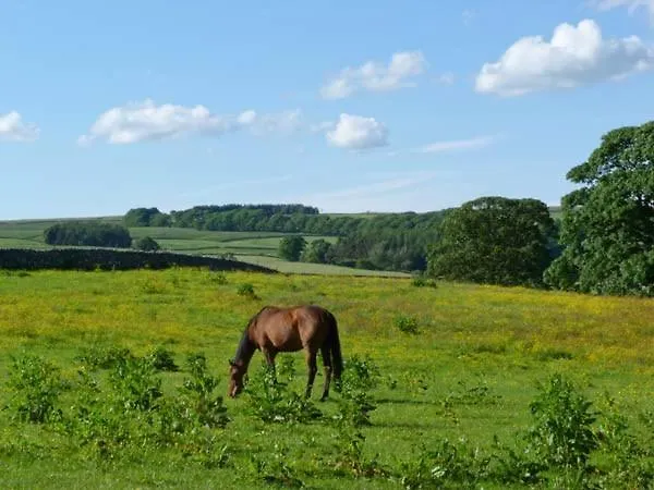 Casa de Férias Bridle Settle